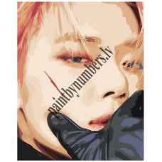 Картина по номерам K-POP1