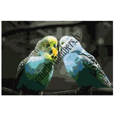Картина по номерам KTMK-birds012