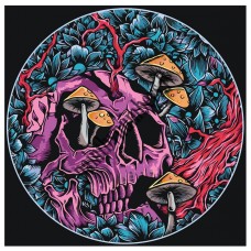 Картина по номерам NA-skullzz1