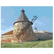 Картина по номерам RUS026