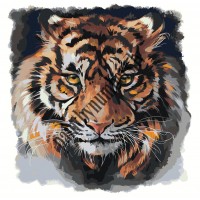 Картина по номерам TSKK-zul221122-121